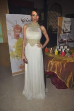 Dipannita Sharma endorses Luster cosmetics in Malad on 21st Feb 2015